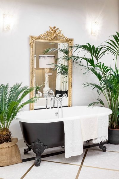 Яка рослина вибрати для ванної кімнати?