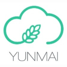 Обзор весов Yunmai Mini
