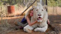 «Индустрия кино» про семейный фильм «Девочка Миа и белый лев»