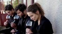 Касса Франции: драма «То, что нас объединяет» в одиночку противостоит натиску голливудских блокбастеров