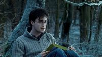 Звёзды «Гарри Поттера» раскрыли любимые моменты со съёмок