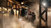 Предыстория «Гарри Поттера»: как посмотреть новый фильм раньше всех 