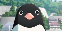 Дивіться яскравий трейлер аніме «Таємне життя пінгвінів»