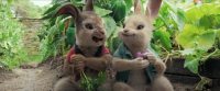 «Індустрія кіно» пояснює, чому потрібно дивитися казку «Кролик Пітер»