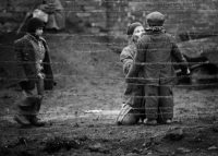 «Фильм-зеркало, фильм-обвинение»: российские критики оценивают «Рай» Кончаловского