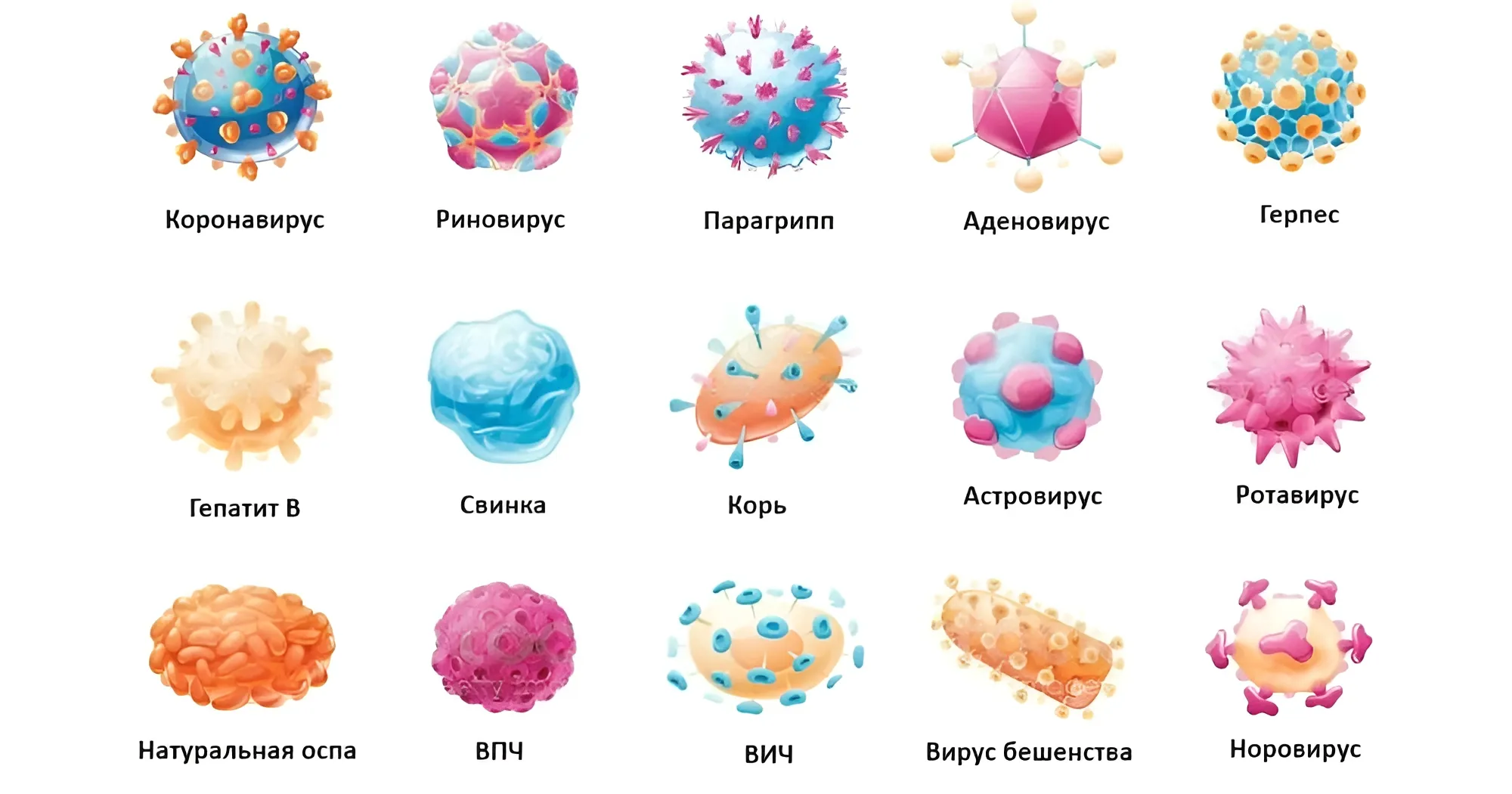 Профилактика вирусных заболеваний