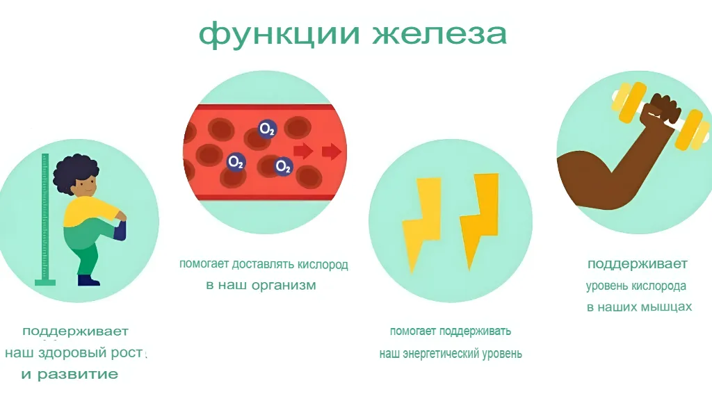 Как правильно принимать железо?