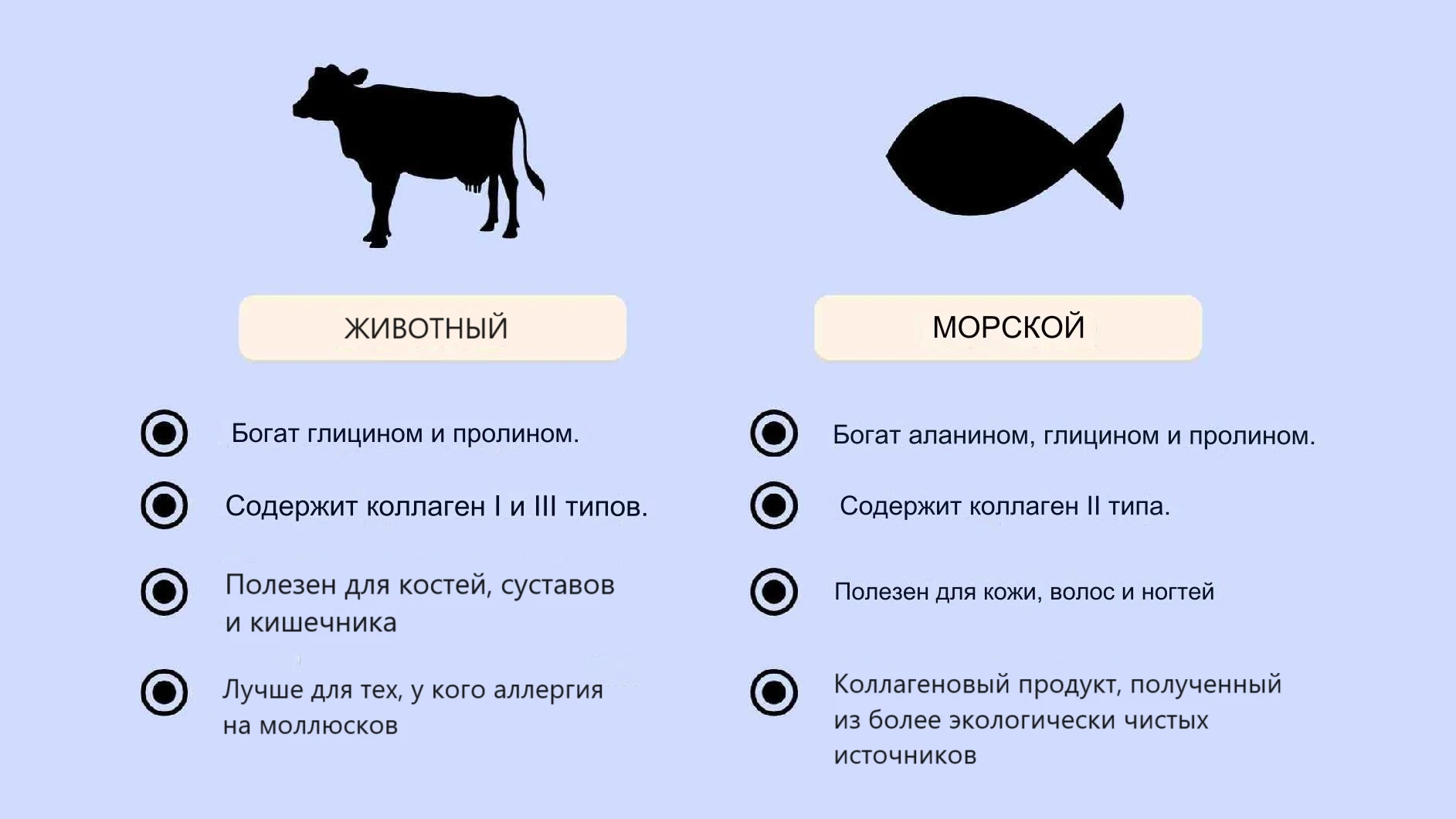 Морской или животный коллаген, какой купить?