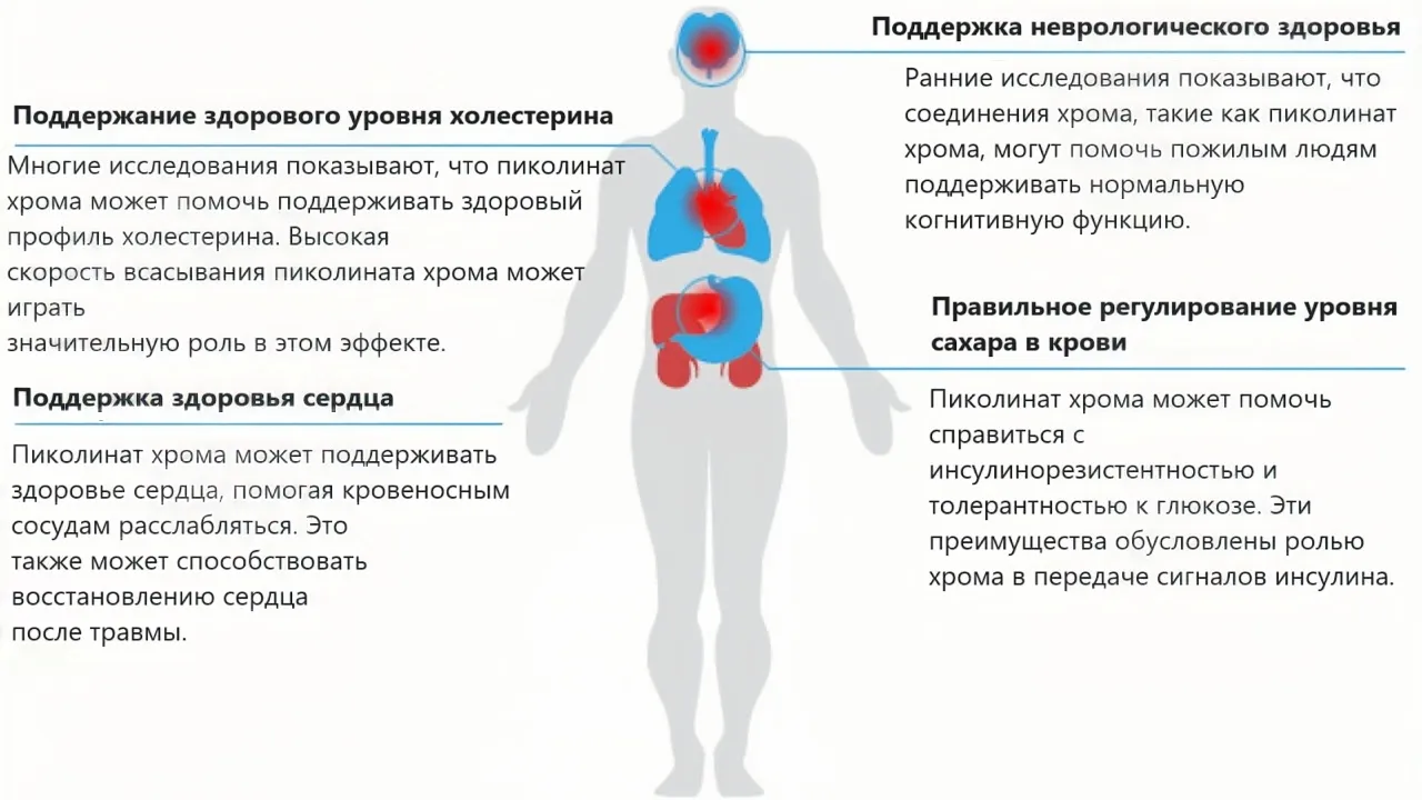 Зачем хром организму?